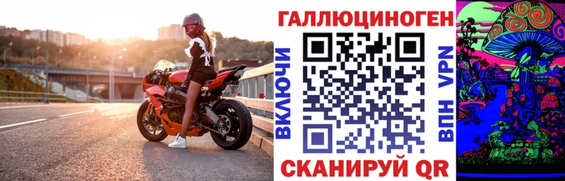 где можно купить   Бронницы  Галлюциногенные грибы прущие грибы 